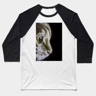 Cat in profile Baseball T-Shirt